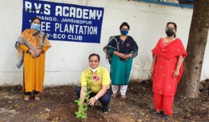 Tree Plantation Day